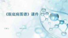 《眼底病图谱》课件