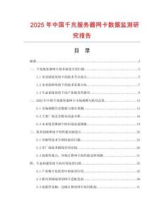 2025年中國(guó)千兆服務(wù)器網(wǎng)卡數(shù)據(jù)監(jiān)測(cè)研究報(bào)告