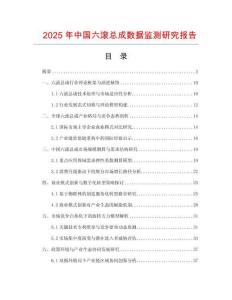 2025年中國(guó)六滾總成數(shù)據(jù)監(jiān)測(cè)研究報(bào)告