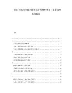2025固態(tài)電池技術路線競爭及材料體系與車企戰(zhàn)略布局報告