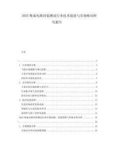2025集成電路封裝測試行業(yè)技術(shù)演進(jìn)與市場格局研究報告