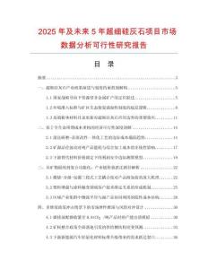 2025年及未来5年超细硅灰石项目市场数据分析可行性研究报告