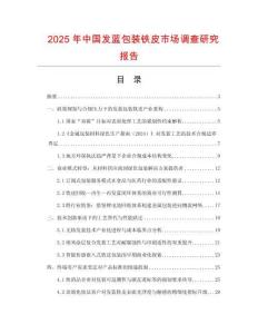 2025年中國發(fā)藍包裝鐵皮市場調查研究報告