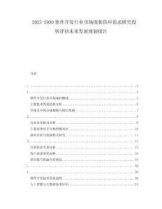 2025-2030軟件開發(fā)行業(yè)市場現(xiàn)狀供應(yīng)需求研究投資評估未來發(fā)展規(guī)劃報告