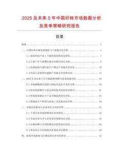 2025及未来5年中国矸砖市场数据分析及竞争策略研究报告