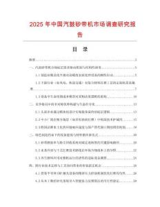 2025年中國(guó)汽鼓砂帶機(jī)市場(chǎng)調(diào)查研究報(bào)告