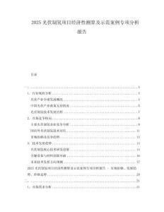 2025光伏制氢项目经济性测算及示范案例专项分析报告