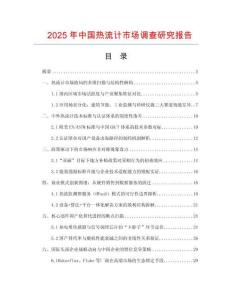 2025年中国热流计市场调查研究报告