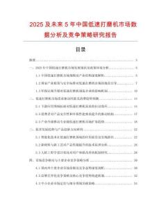 2025及未來5年中國低速打磨機市場數(shù)據(jù)分析及競爭策略研究報告