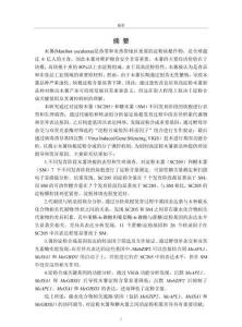 MebZIP2協(xié)同調(diào)控MeAPL1、MeISA1和MeGBSS1促進(jìn)木薯塊根淀粉合成的分子機(jī)制