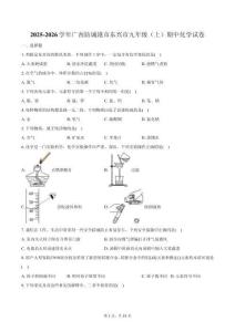 2025-2026學年廣西防城港市東興市九年級（上）期中化學試卷（含答案）