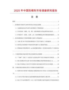 2025年中国防锈剂市场调查研究报告