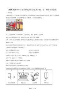 2025-2026學(xué)年山東省聊城市陽(yáng)谷縣九年級(jí)（上）期中化學(xué)試卷（含答案）