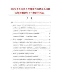 2025年及未来5年球型内六角工具项目市场数据分析可行性研究报告