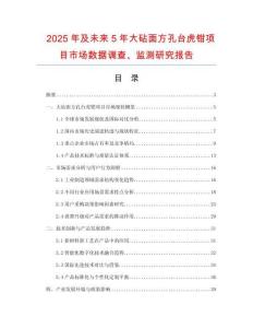 2025年及未來5年大砧面方孔臺虎鉗項(xiàng)目市場數(shù)據(jù)調(diào)查、監(jiān)測研究報告