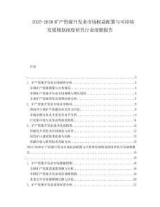 2025-2030礦產(chǎn)資源開發(fā)業(yè)市場(chǎng)權(quán)益配置與可持續(xù)發(fā)展規(guī)劃深度研究行業(yè)前瞻報(bào)告