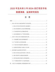 2025年及未來5年803A杏燈項目市場數據調查、監測研究報告