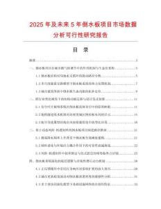 2025年及未來5年倒水板項目市場數據分析可行性研究報告