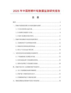 2025年中國附柄葉輪數(shù)據(jù)監(jiān)測研究報告