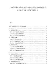 2025-2030跨境電商平臺(tái)創(chuàng)業(yè)與營(yíng)運(yùn)管理分析穩(wěn)中求進(jìn)的投資計(jì)劃鉆研分析報(bào)告