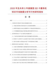 2025年及未來5年超微型SD卡攝錄機(jī)項(xiàng)目市場數(shù)據(jù)分析可行性研究報(bào)告