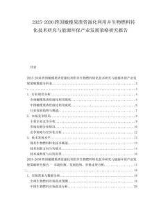 2025-2030跨國(guó)橄欖果渣資源化利用并生物燃料轉(zhuǎn)化技術(shù)研究與能源環(huán)保產(chǎn)業(yè)發(fā)展策略研究報(bào)告