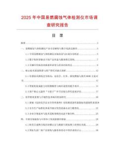 2025年中國(guó)易燃腐蝕氣體檢測(cè)儀市場(chǎng)調(diào)查研究報(bào)告
