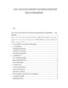 2025-2030巴西石油鉆探平臺(tái)技術(shù)研發(fā)市場(chǎng)需求投資機(jī)會(huì)市場(chǎng)創(chuàng)新探索