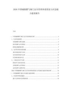2026中國城鎮燃氣閥門安全管理體系優化與應急能力建設報告