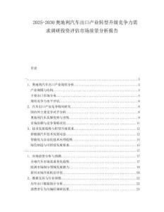 2025-2030奧地利汽車出口產(chǎn)業(yè)轉(zhuǎn)型升級競爭力需求調(diào)研投資評估市場前景分析報告