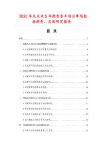 2025年及未來5年微型水車項目市場數據調查、監測研究報告