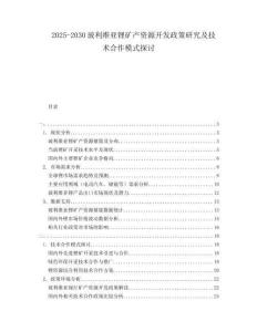 2025-2030玻利維亞鋰礦產(chǎn)資源開發(fā)政策研究及技術(shù)合作模式探討