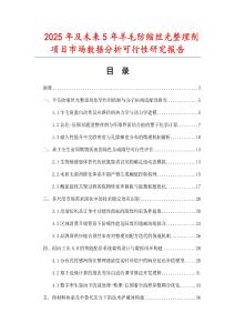 2025年及未来5年羊毛防缩丝光整理剂项目市场数据分析可行性研究报告