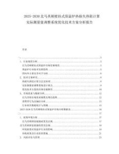 2025-2030北馬其頓壁掛式保溫爐熱損失熱阻計(jì)算實(shí)際測(cè)量值調(diào)整系統(tǒng)優(yōu)化技術(shù)方案分析報(bào)告