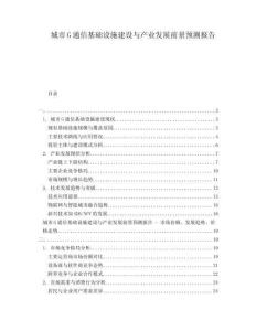 城市G通信基础设施建设与产业发展前景预测报告