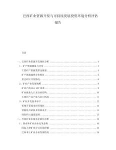 巴西礦業(yè)資源開發(fā)與可持續(xù)發(fā)展投資環(huán)境分析評估報告