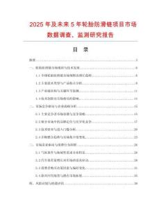 2025年及未來5年輪胎防滑鏈項目市場數(shù)據(jù)調(diào)查、監(jiān)測研究報告
