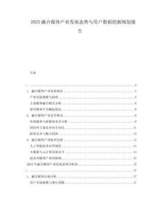 2025融合媒體產業發展態勢與用戶數據挖掘規劃報告