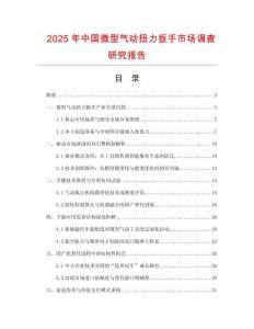 2025年中國微型氣動扭力扳手市場調查研究報告