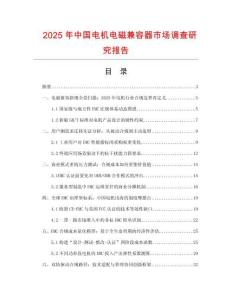 2025年中國電機電磁兼容器市場調查研究報告