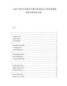 2025-2030半導(dǎo)體芯片數(shù)字經(jīng)濟(jì)核心產(chǎn)業(yè)技術(shù)路線研究市場分析專報