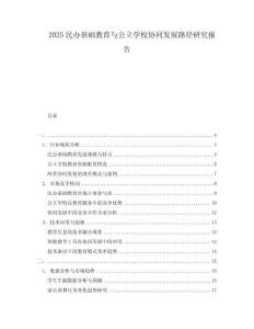 2025民辦基礎教育與公立學校協(xié)同發(fā)展路徑研究報告
