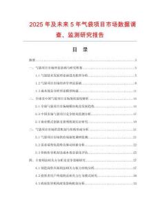 2025年及未来5年气袋项目市场数据调查、监测研究报告