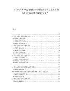 2025-2030跨境電商行業(yè)市場運(yùn)營分析及發(fā)展方向與全球市場開拓策略研究報告