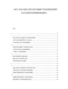 2025-2030北欧五国可再生能源产业发展现状调研及企业投资发展策略规划报告