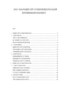 2025-2030科威特天然氣市場供需現(xiàn)狀評估及品牌投資策略規(guī)劃研究深度報告