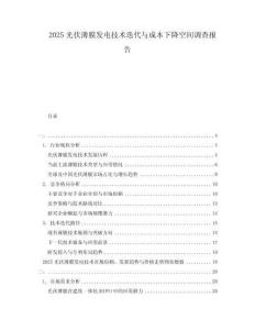 2025光伏薄膜發(fā)電技術(shù)迭代與成本下降空間調(diào)查報告