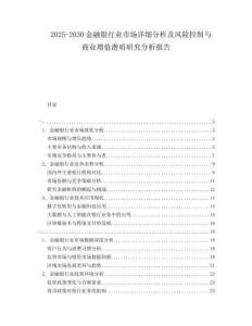 2025-2030金融銀行業(yè)市場詳細(xì)分析及風(fēng)險控制與商業(yè)增值潛質(zhì)研究分析報告