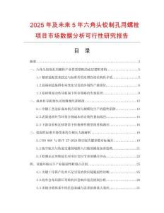 2025年及未來5年六角頭鉸制孔用螺栓項目市場數據分析可行性研究報告