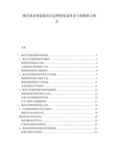城市建設規劃城市應急物資儲備體系與保障能力報告